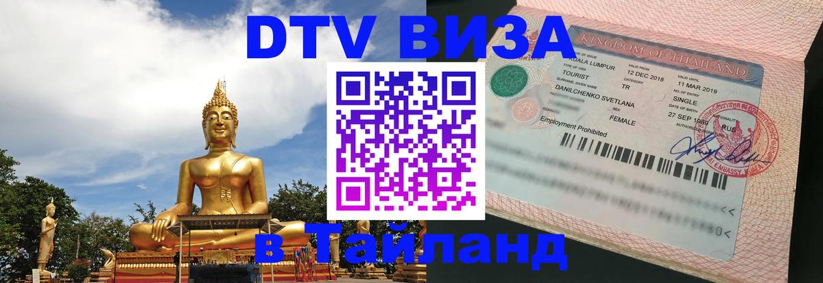 Оформление DTV визы под ключ: стоимость и тарифы, только загранпаспорт - Санкт-Петербург  04.10.2025 